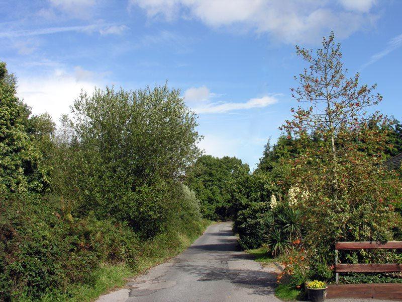 Abacus Bed And Breakfast, Blackwater, Hampshire Camberley Eksteriør bilde